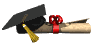 Career Advice: Career Development Options